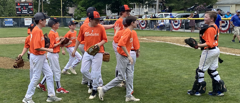 Woburn Little league Major Cubs